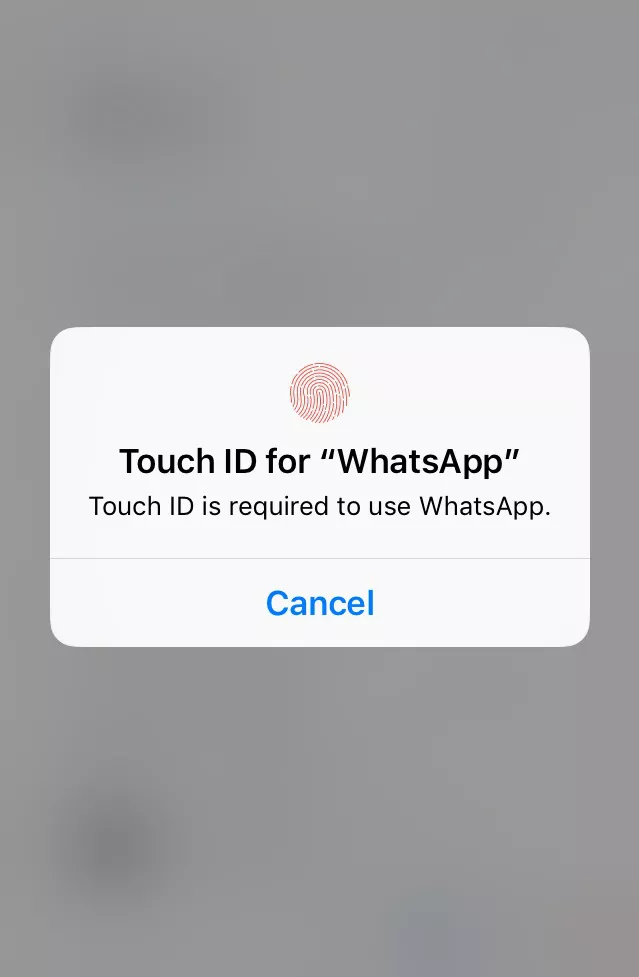 Whatsapp iOS fingerprint